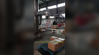 sistema manipolatore personalizzato non standard