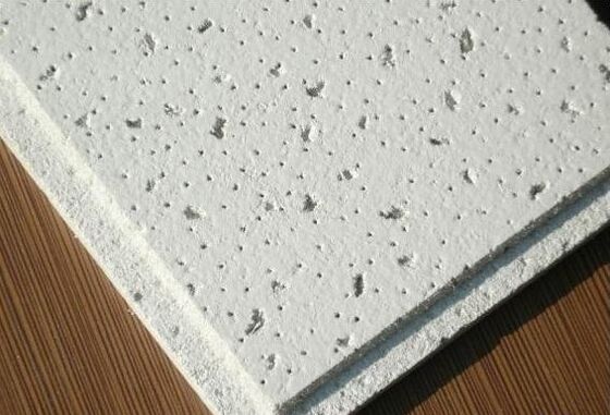 Fornitore di linee di produzione di pannelli per soffitti in fibra minerale per esportazione di piante per soffitti acustici di spedizione internazionale